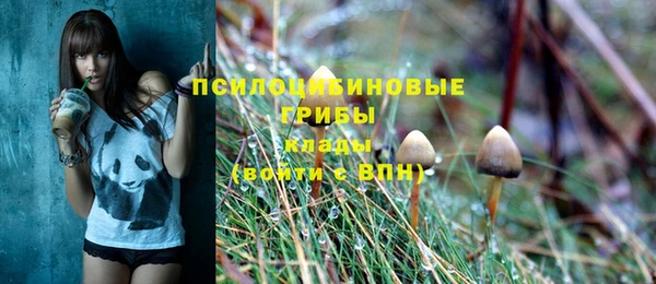 Альфа ПВП Балахна