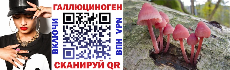 Галлюциногенные грибы мицелий  нарко площадка наркотические препараты  Кунгур 