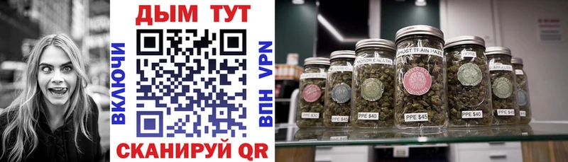 где продают наркотики  дарк нет наркотические препараты  Бошки марихуана Amnesia  Кунгур 
